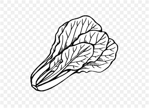pechay picture drawing|Pechay Drawings .